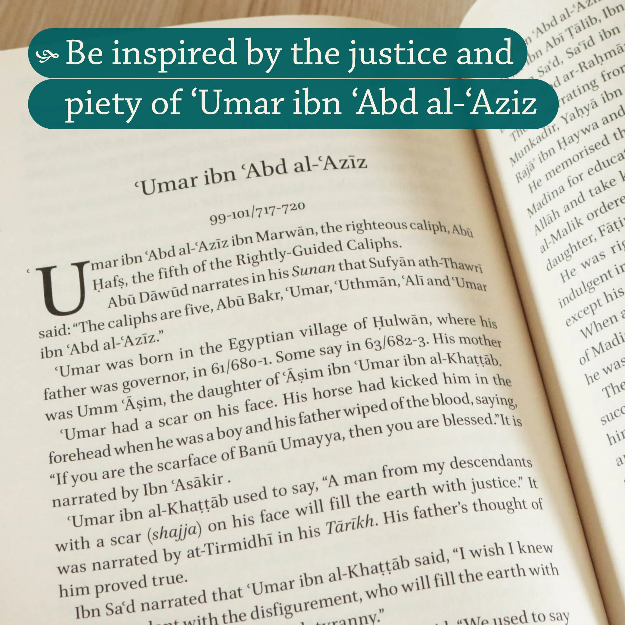 Inner spread of History of the Umayyad Caliphs by As-Suyuti, TS Andersson. Tarikh al-Khulafa by Ta-Ha Publishers