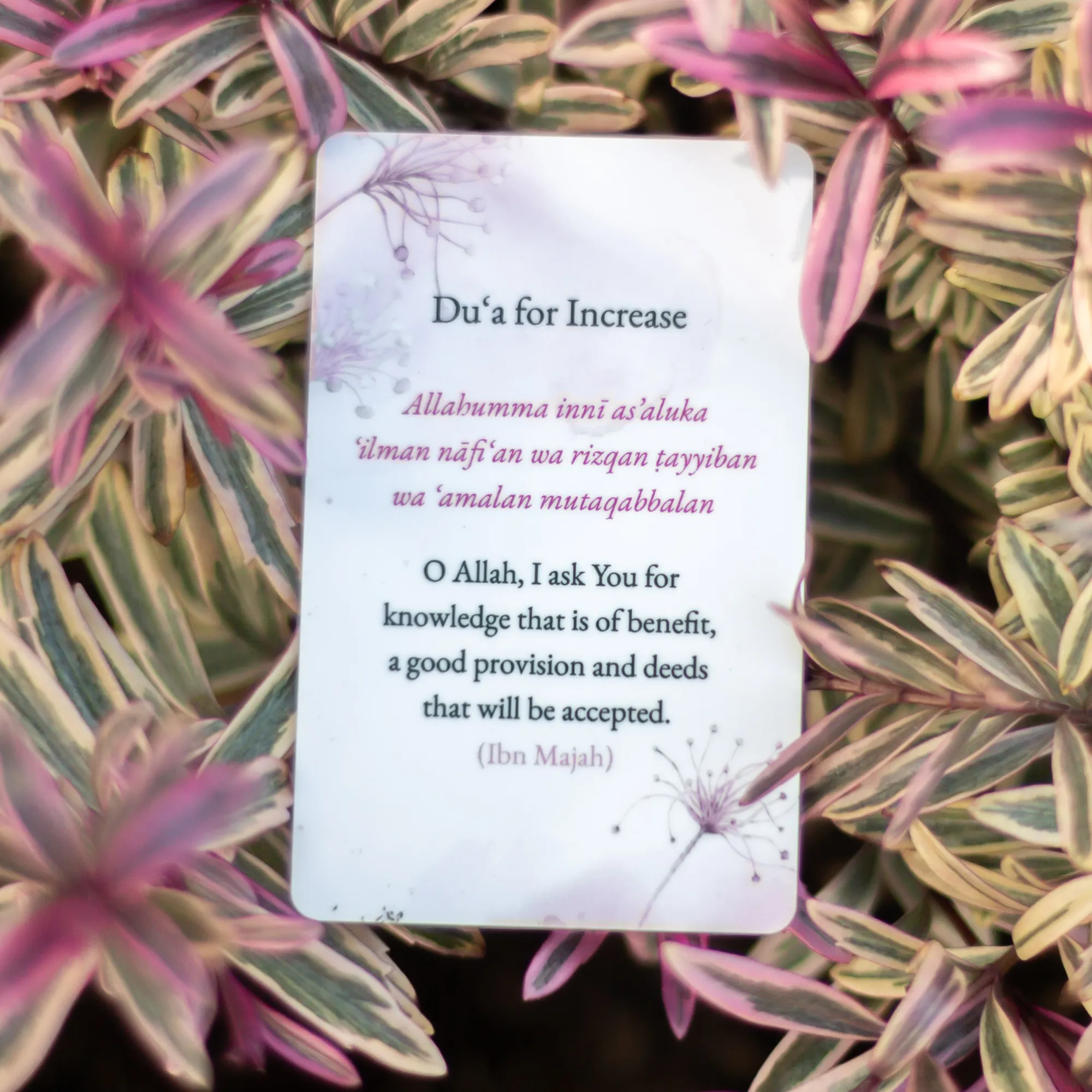 Du‘a for Increase Card